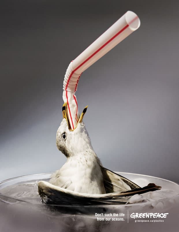 imagem de campanha do Greenpeace, onde um pássaro tem um canudo de pástico na boca