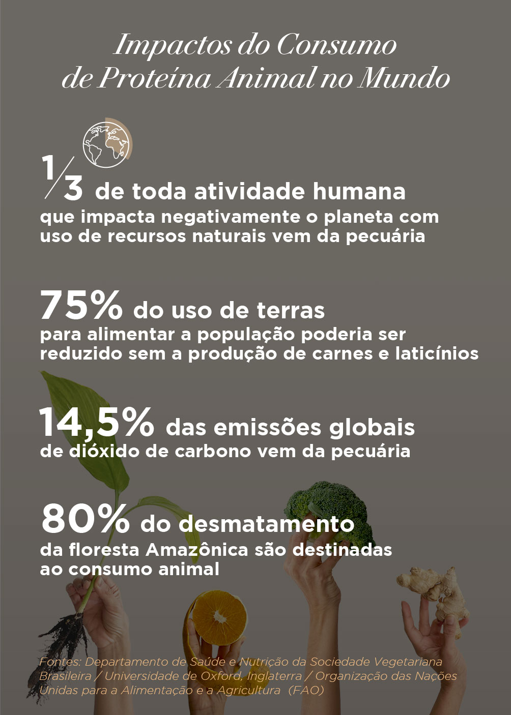 Infográfico com os Impactos do Consumo de Proteína Animal no Mundo