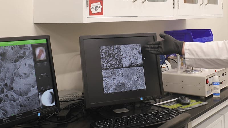 Meat Microscope