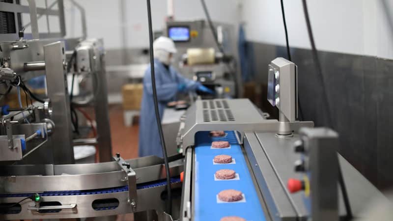 Raw Beyond Burger Patties on Conveyor Belt 2