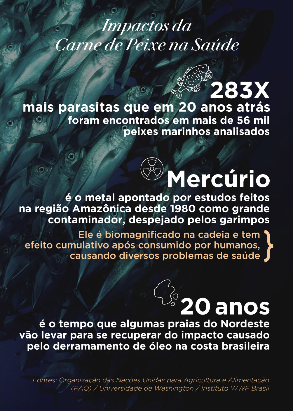 Infográfico com os impactos da Carne de Peixe Aqui e no Mundo