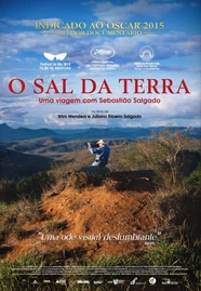 5 Documentários Sobre Cuidados Com o Solo