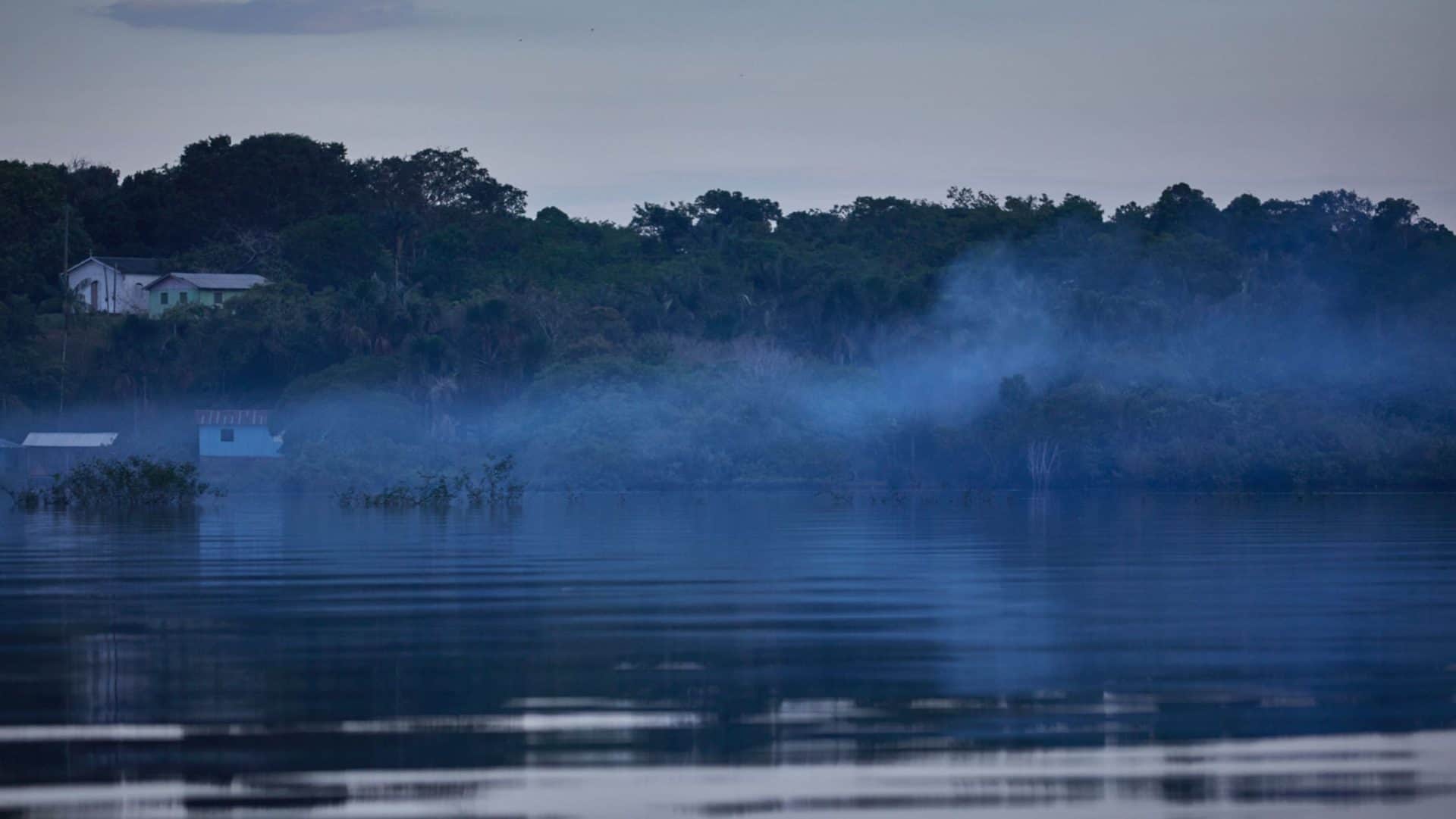Árvores em meio à neblina, na floresta Amazônica. Foto: Loiro Cunha