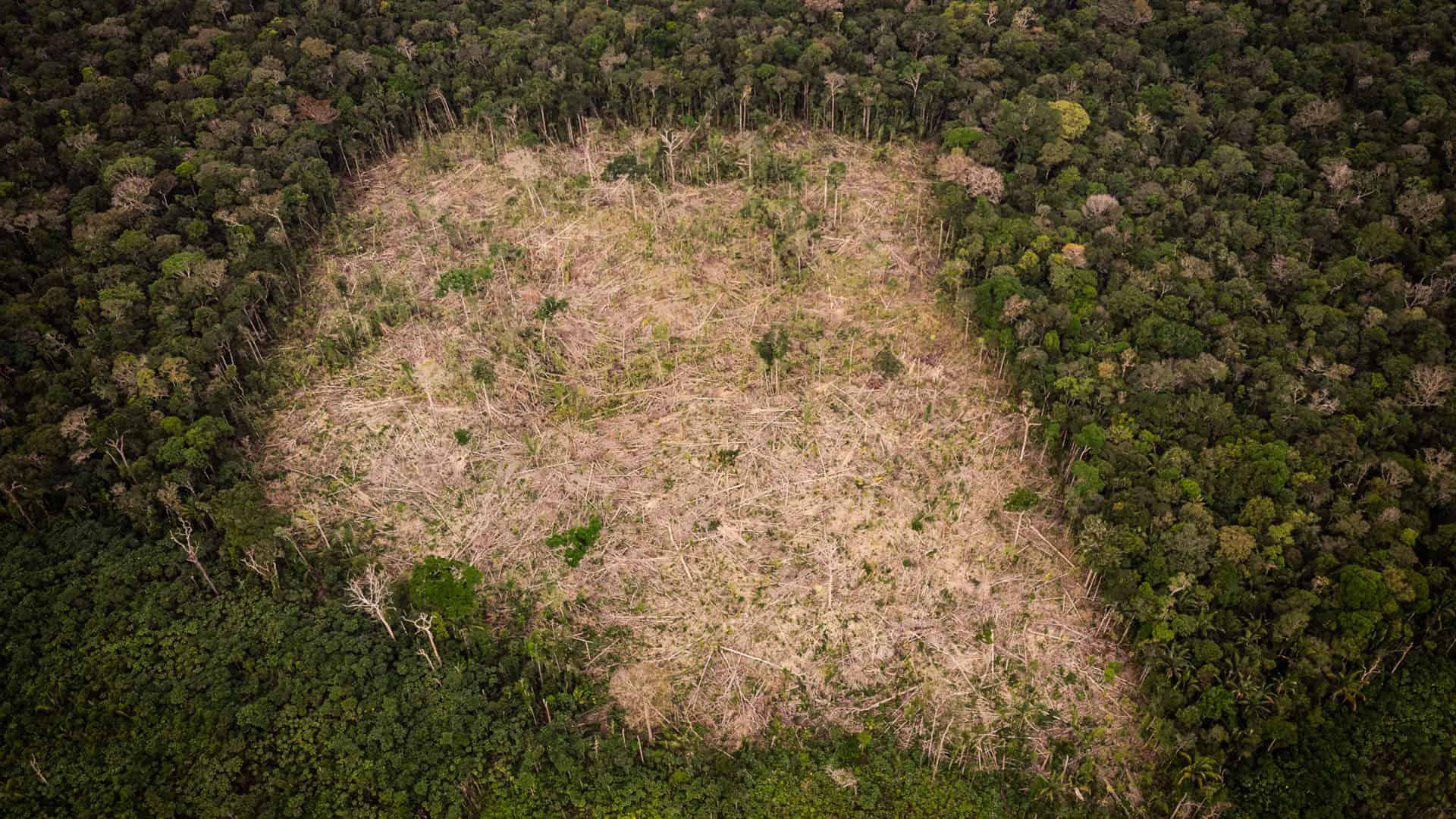 Área desmatada na Amazônia