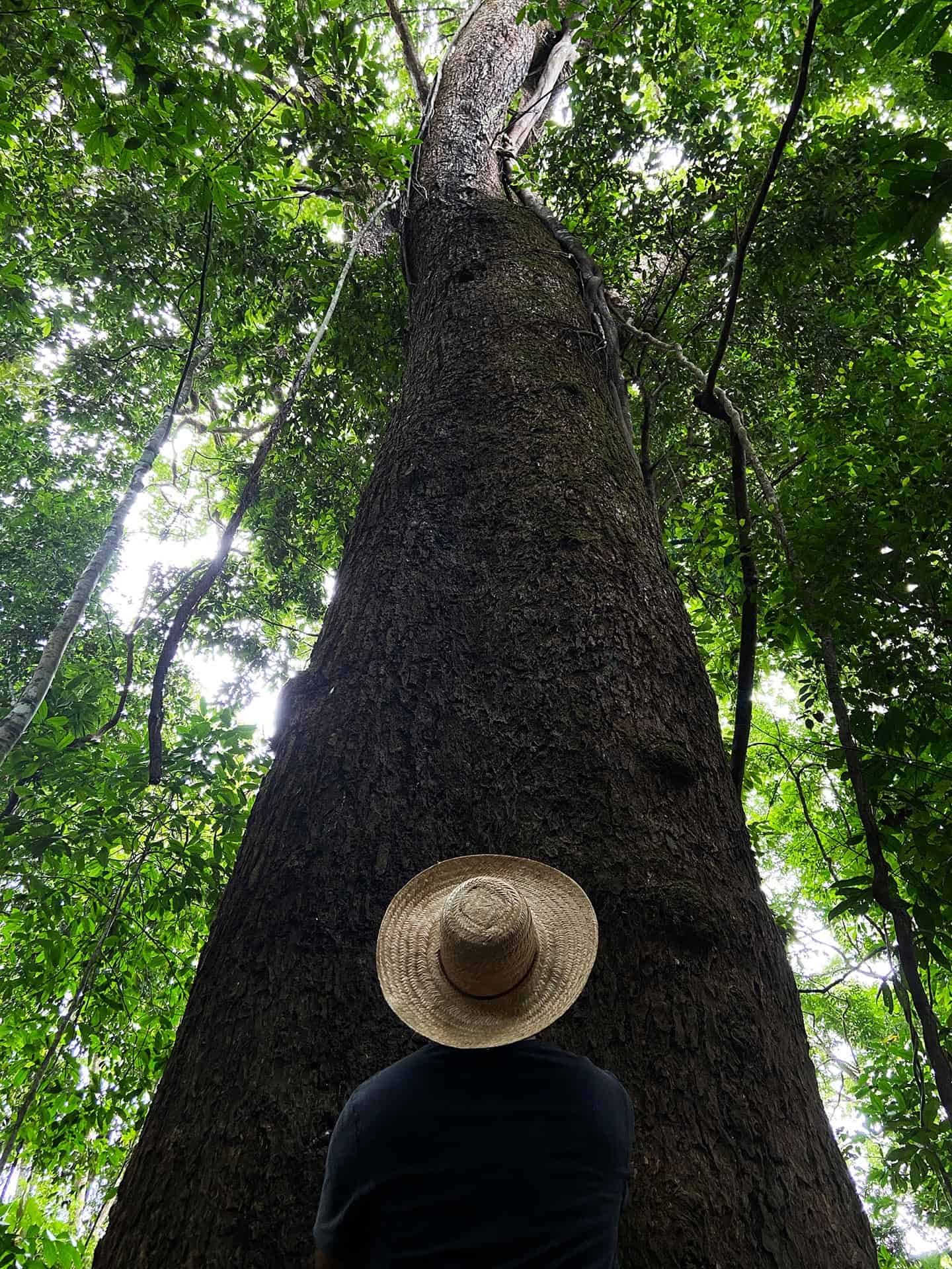 O que Você Pode Fazer Contra a Crise Climática?