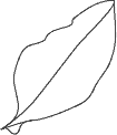 ícone de folha