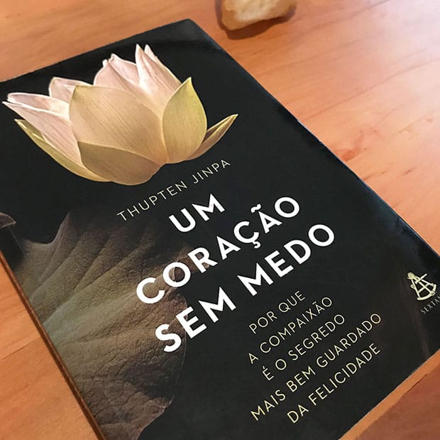 Livros para inspirar suas transformações: Um coração sem medo