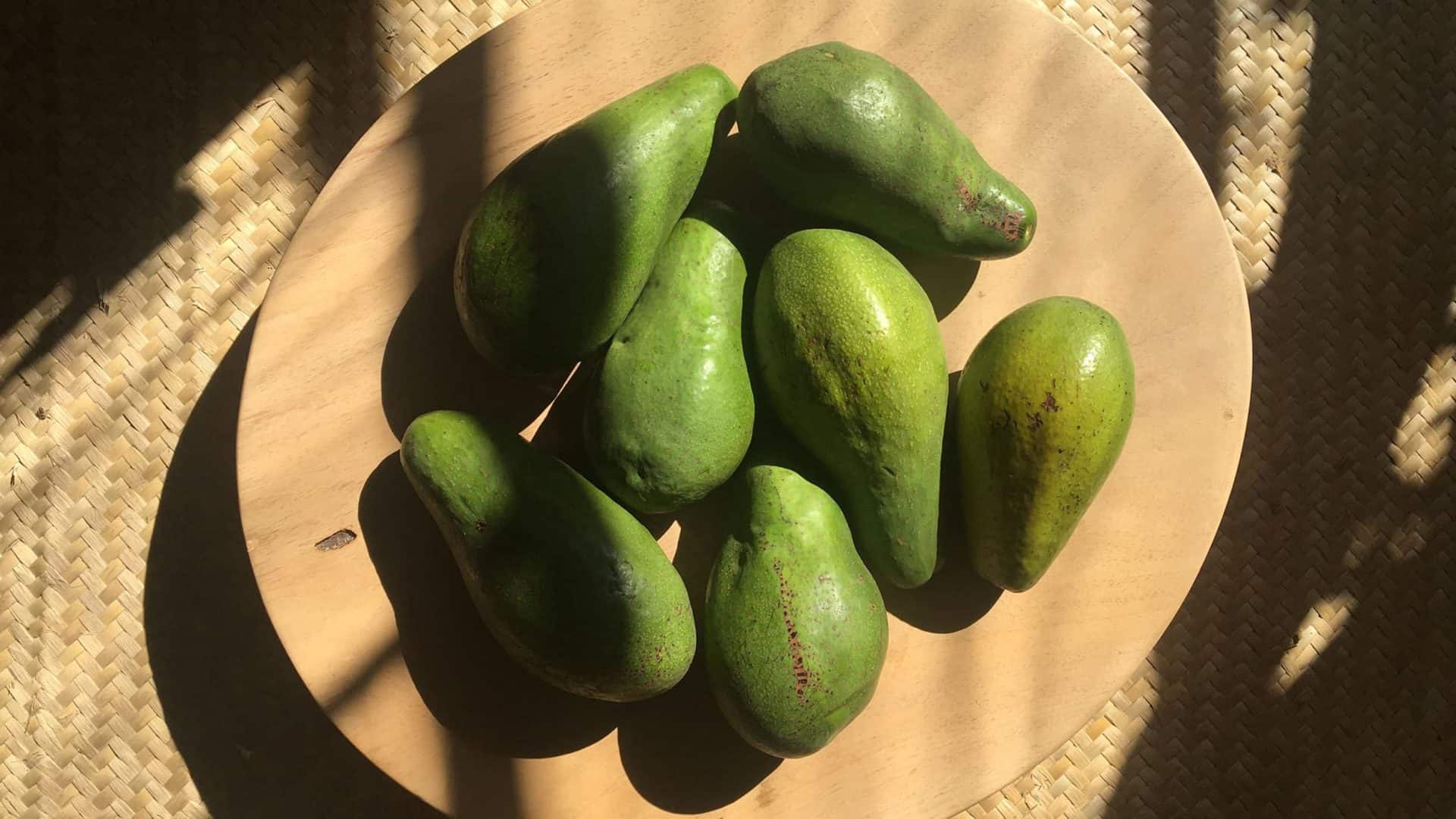 Abacates em fruteira de madeira