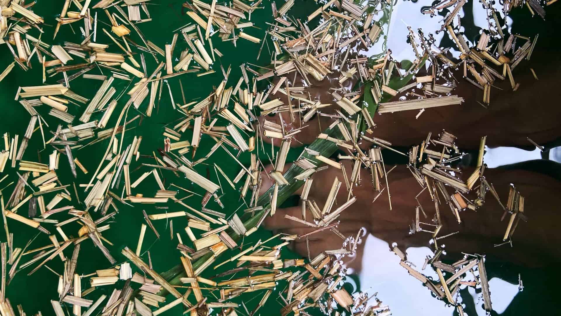 Escanda-pés com erva-cidreira