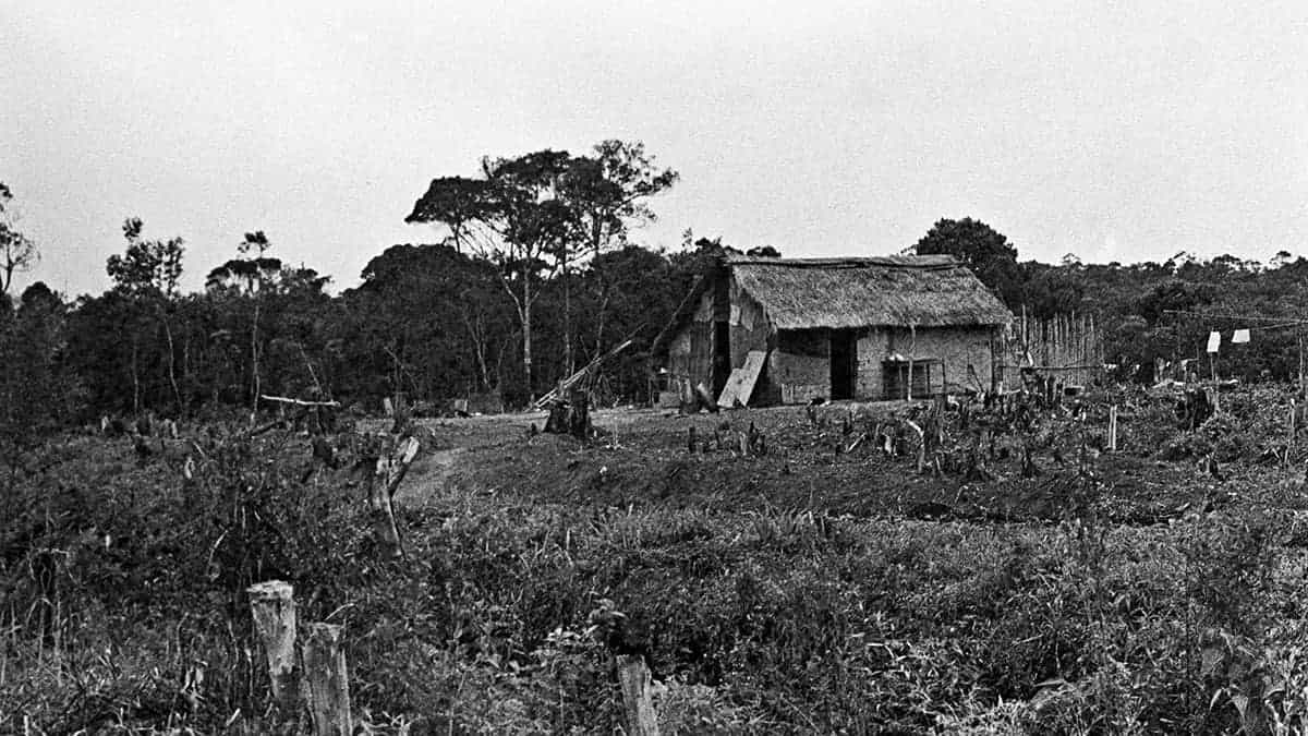 Casa de aldeira guarani no Estado de São Paulo